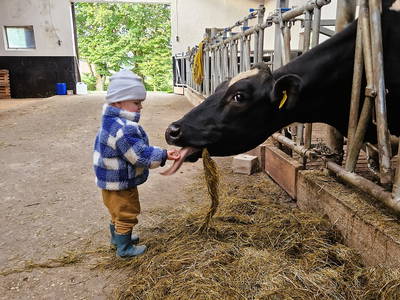 Bild 4 aus  Ferienhof-Marx