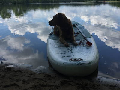 Bild 28 aus  Gästehaus BärenHof