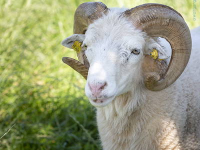 Bild 18 aus  Zaißlhäusl Hof inkl. Chiemgau-Karte ab 1.5.2026