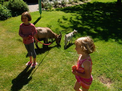 Ferienkinder lieben Bauernhoftiere
