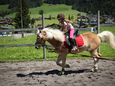 Bild 28 aus  Haus Bergquell mit Pferdestall