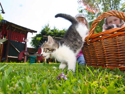 Bild 10 aus  Herbstbauernhof