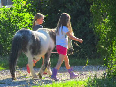 Bild 10 aus  Franzen Hof  Koch