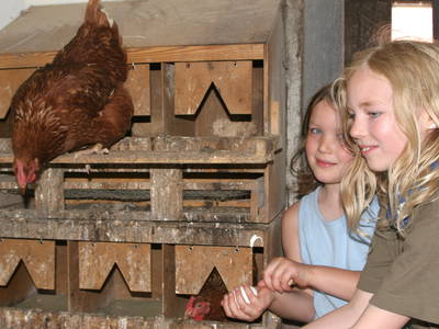 Bild 10 aus  Gretenhof