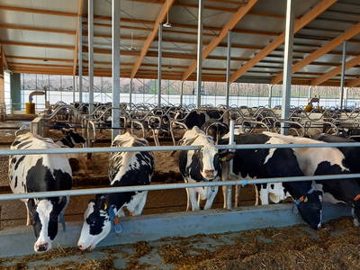 Bild 9 aus  Knödler Stadel