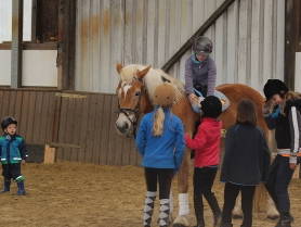 Bild 32 aus  Ferienhof Pulte