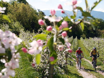 Bild 41 aus  Steinerhof