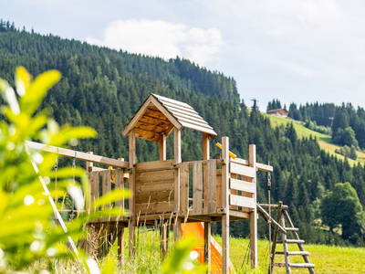 Bild 11 aus  Hornergut