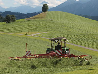 Bild 9 aus  Ferienhof Hitzelberger