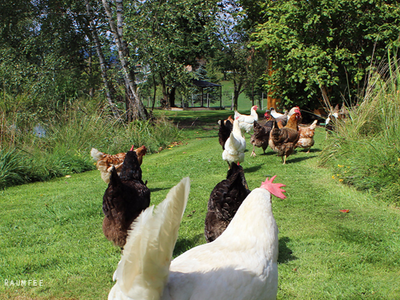 Bild 8 aus  Ferienwohnung Josef Müller