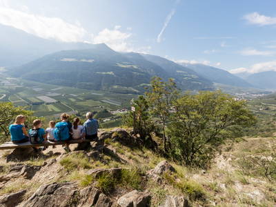 Bild 21 aus  Bioland Bauernhof Hausergut