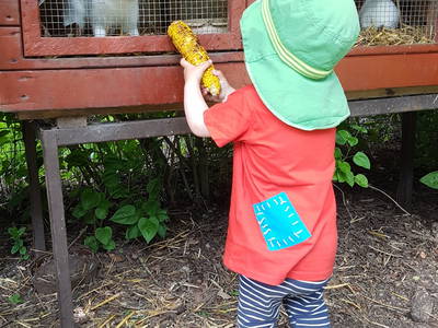 Bild 20 aus  Ferienhof Albert