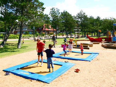 Bild 44 aus  Ferienhof Peter -  Ponys - streicheln, striegeln, füttern  -  Wattwanderungen + ganz viel Nordsee