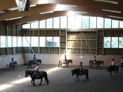 Bild 12 aus  Ponyhof Meier