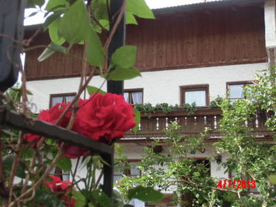 Bild 18 aus  Bucherhof