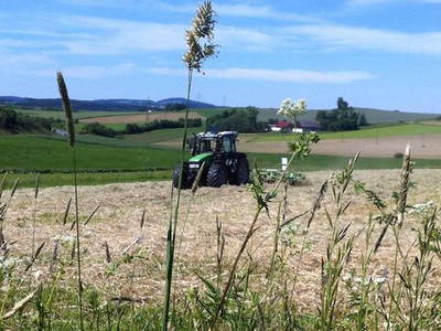Bild 9 aus  Ferienhof Kießling