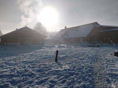 Bild 20 aus  Carstens Ferienhof