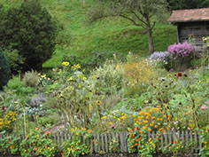 Bild 3 aus  Vorderhof