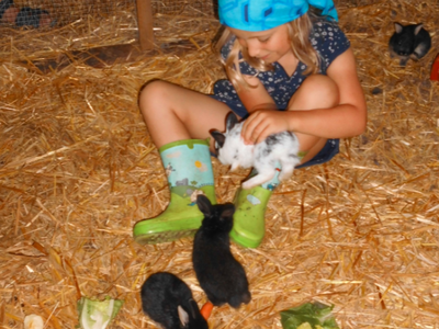 Bild 14 aus  Ferienhof Gerstandt