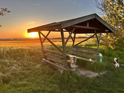 Bild 35 aus  Alte Schule Mechelsdorf - Idylle zw. Rerik und Kühlungsborn - 2,5 km zur Ostsee