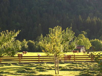 Bild 9 aus  Zoberbauer