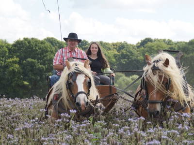 Bild 18 aus  "Höhenhof - Erlebnisbauernhof"