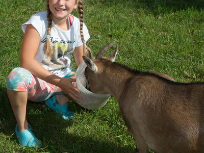 Bild 18 aus  Seimehof - Ihre Wohlfühloase am Chiemsee mit Herzlichkeit und Naturgenuss