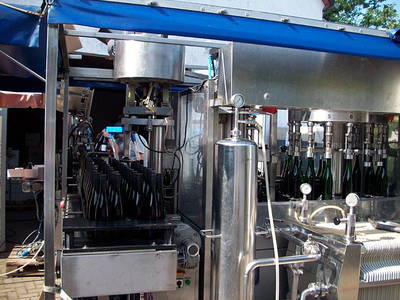 Bild 8 aus  Ferienweingut Willems, Maria Willems