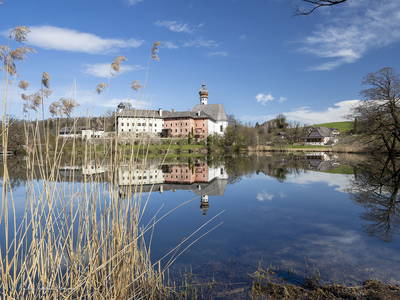 Bild 46 aus  Fuchsbauernhof