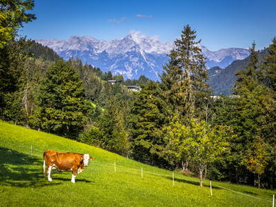 Bild 12 aus  Vordersattlegghof