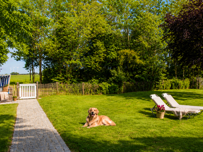 Bild 11 aus  Ferienhof Schnurrum