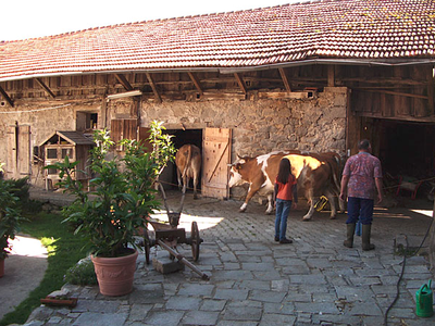 Bild 5 aus  Schollerhof