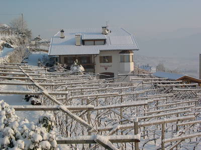 Bild 9 aus  Finkenhof