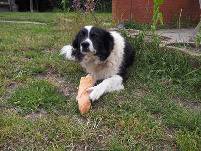 Bild 7 aus  Ferienhof Gravert