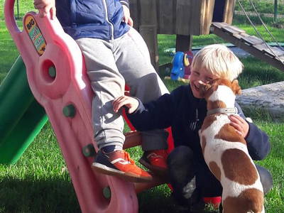 Bild 5 aus  Hof  Schmörholm Urlaubs- und Früchtehof