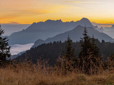 Bild 31 aus  Ferienwohnungen Perfeldhof