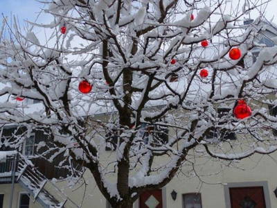 Bild 70 aus  Hofgut Schleinsee  - idyllisch am eigenen See
