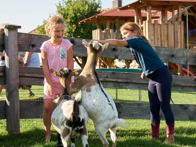 Bild 4 aus  Wenighof