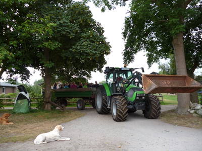 Bild 5 aus  Bauernhof Sauer