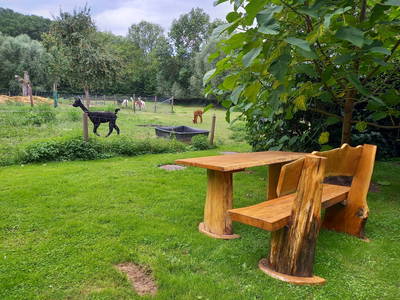 Bild 8 aus  Hof Albersmeier Urlaub am Stall