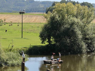 Bild 9 aus  Gut Sommereichen