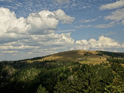 Blick zum Feldberg an einem Spätsommertag