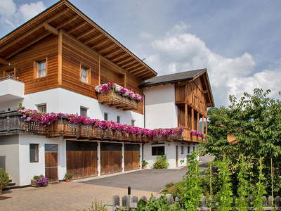 Bild 47 aus  Appartement Birkenhof - Urlaub mit Pferden und Alpakas