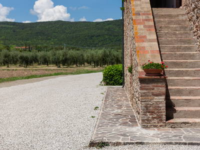 Bild 15 aus  Tenuta Il Cicalino