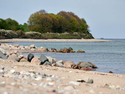 Bild 11 aus  Elsas Enkel Ostseeurlaub