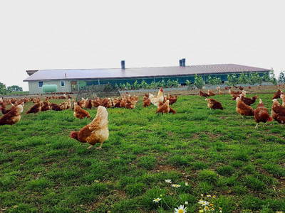 Bild 15 aus  Ferienhof Kießling