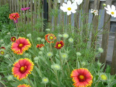 Bild 20 aus  Der Adlerhof