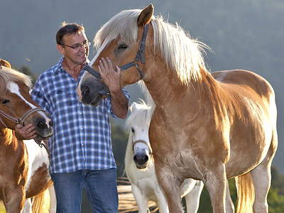 Bild 5 aus  Schingerhof