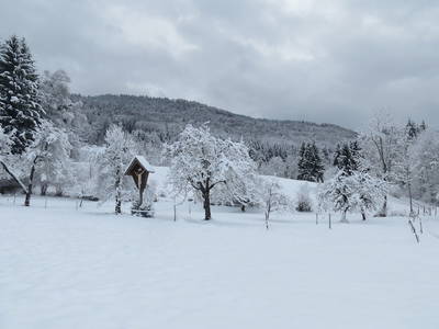 Bild 9 aus  Ferienwohnungen "Zum Baur" - Walser