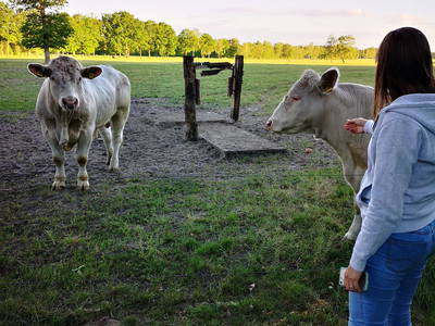 Bild 35 aus  Urlaub auf dem Ennenhof – Landliebe für die ganze Familie
